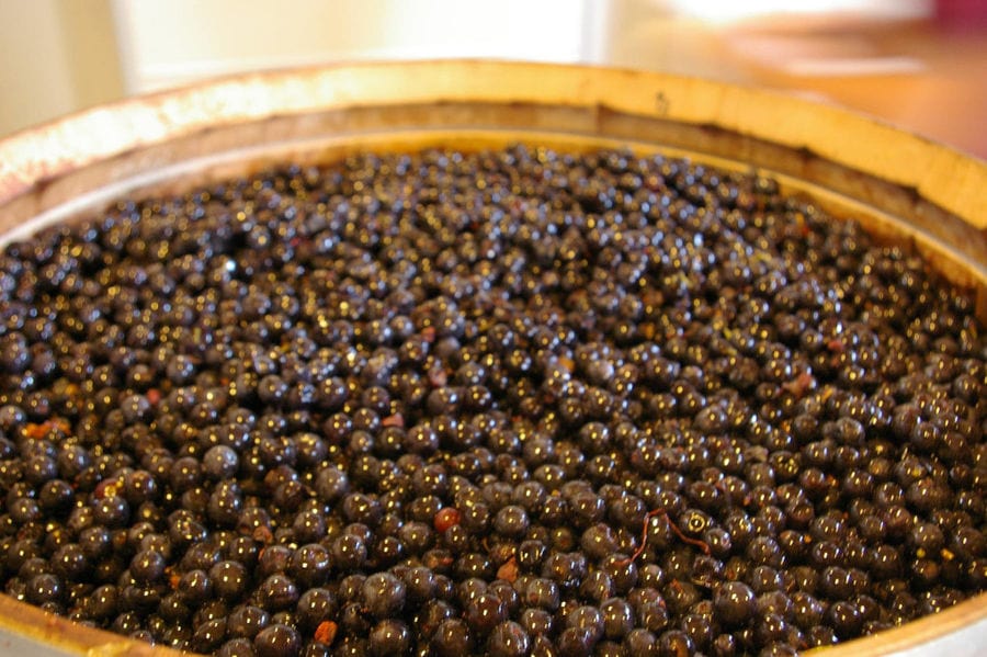 wood barrel with black grapes 'La Tour Melas' winery